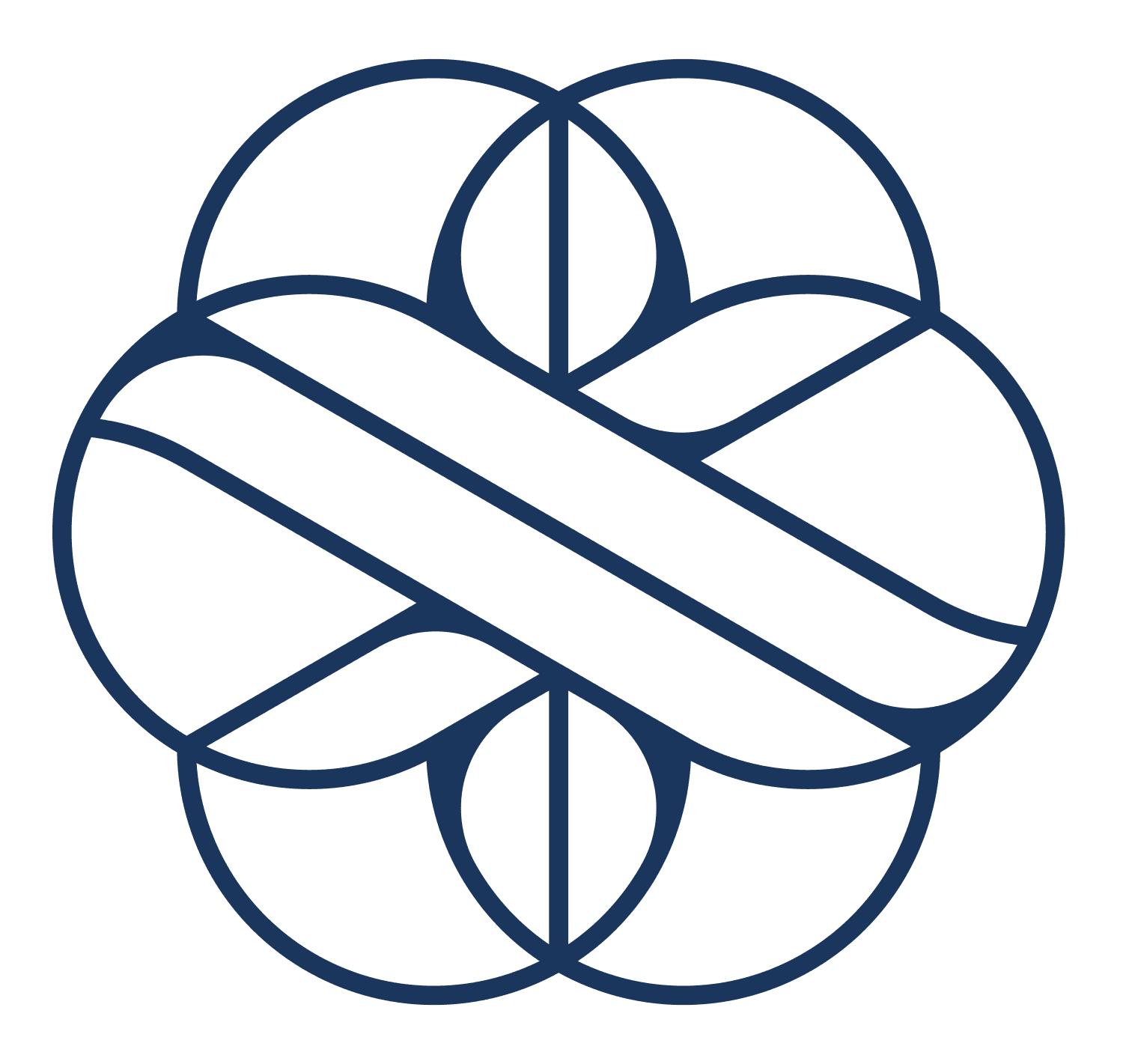 MSB Icon